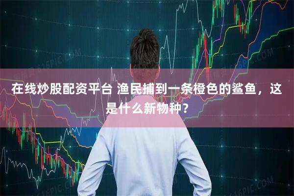 在线炒股配资平台 渔民捕到一条橙色的鲨鱼，这是什么新物种？