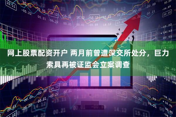 网上股票配资开户 两月前曾遭深交所处分，巨力索具再被证监会立案调查