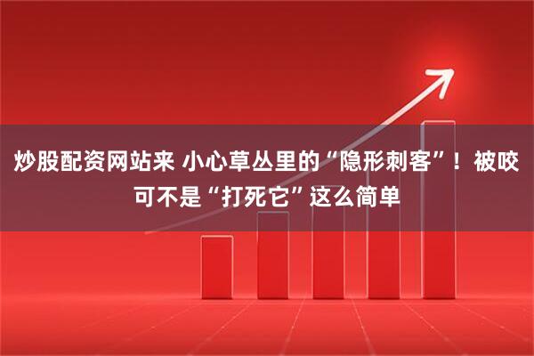 炒股配资网站来 小心草丛里的“隐形刺客”！被咬可不是“打死它”这么简单
